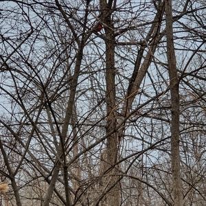 Meet your Posher, SX